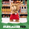 Plyšová figurka Ted2-Ted